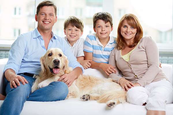 Why Choose One Family Dentist For Everyone In Your Family